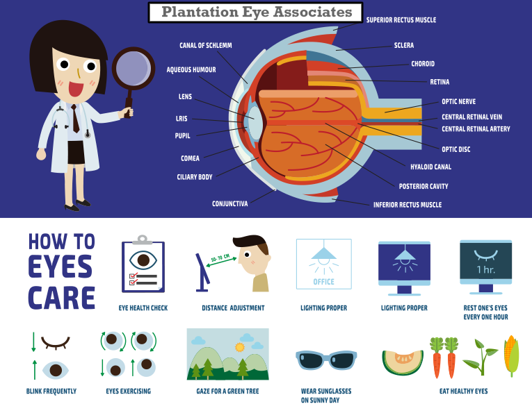 Plantation Eye Associates Eye Care Contact Lenses